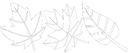 Kolorowanka trzy jesienne liście